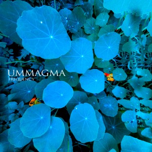 Ummagma - Frequency (cover)