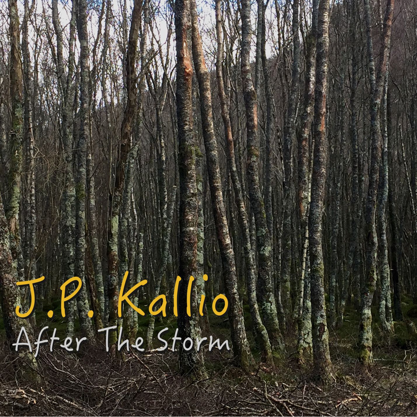Review: J.P. Kallio "After The Storm"