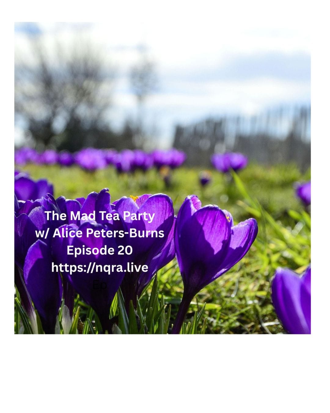 Playlist The Mad Tea Party 20 - 26 03 04