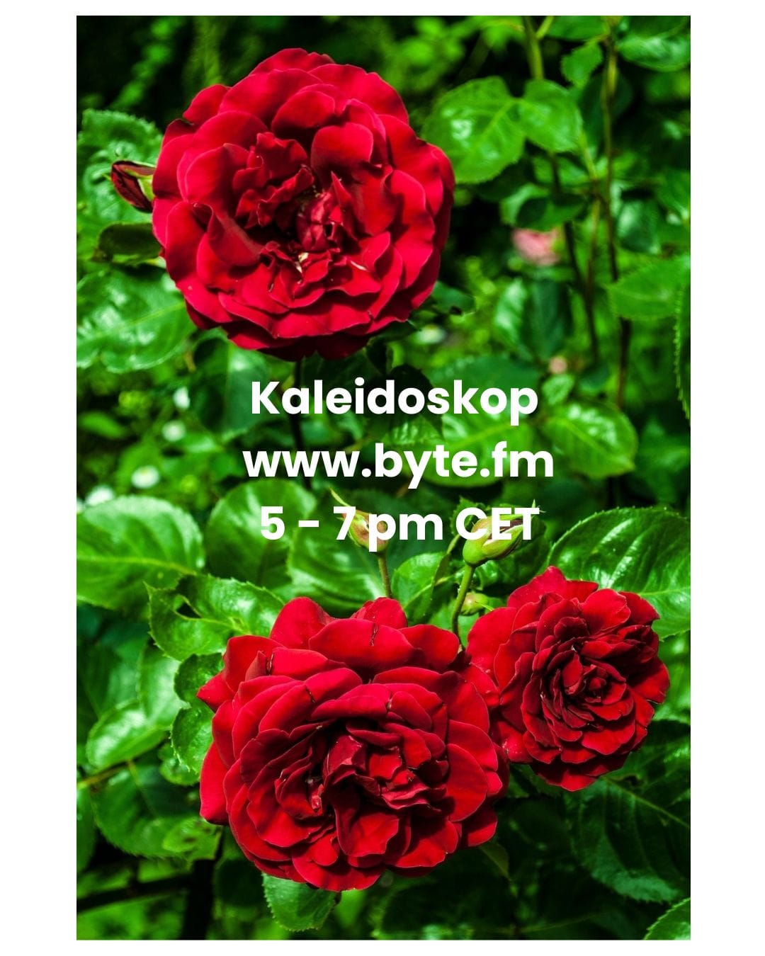 Playlist Kaleidoskop