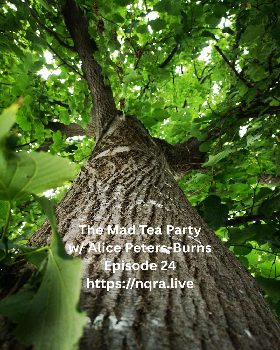 Playlist The Mad Tea Party Episode 24