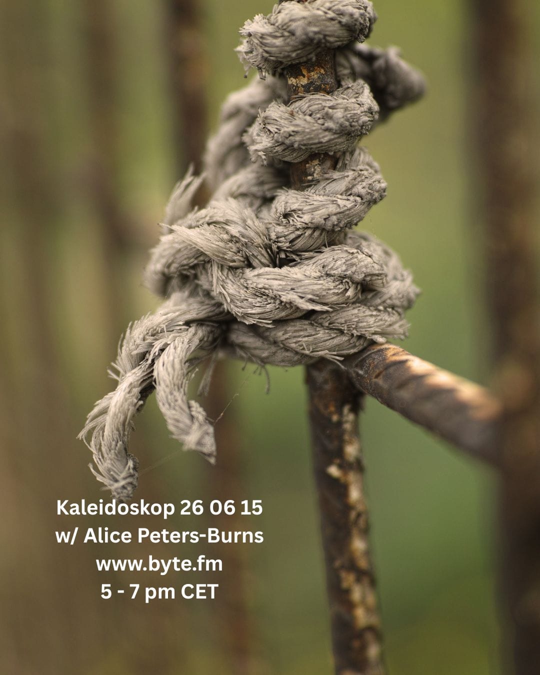 Kaleidoskop 26 06 15