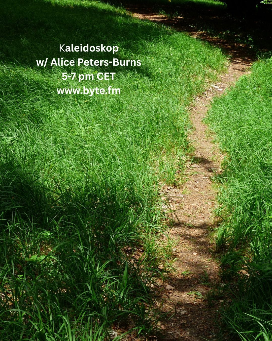 Kaleidoskop 26 09 07