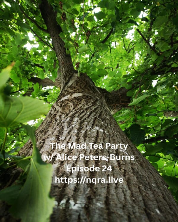 Playlist The Mad Tea Party Episode 24